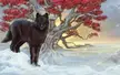 'Shaggydog' by CarrieBest