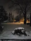Another snow storm to bring 12 more inches. They're advising not to travel at all today. Two snowstorms in one week.
