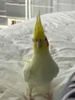 “Pay attention to me”