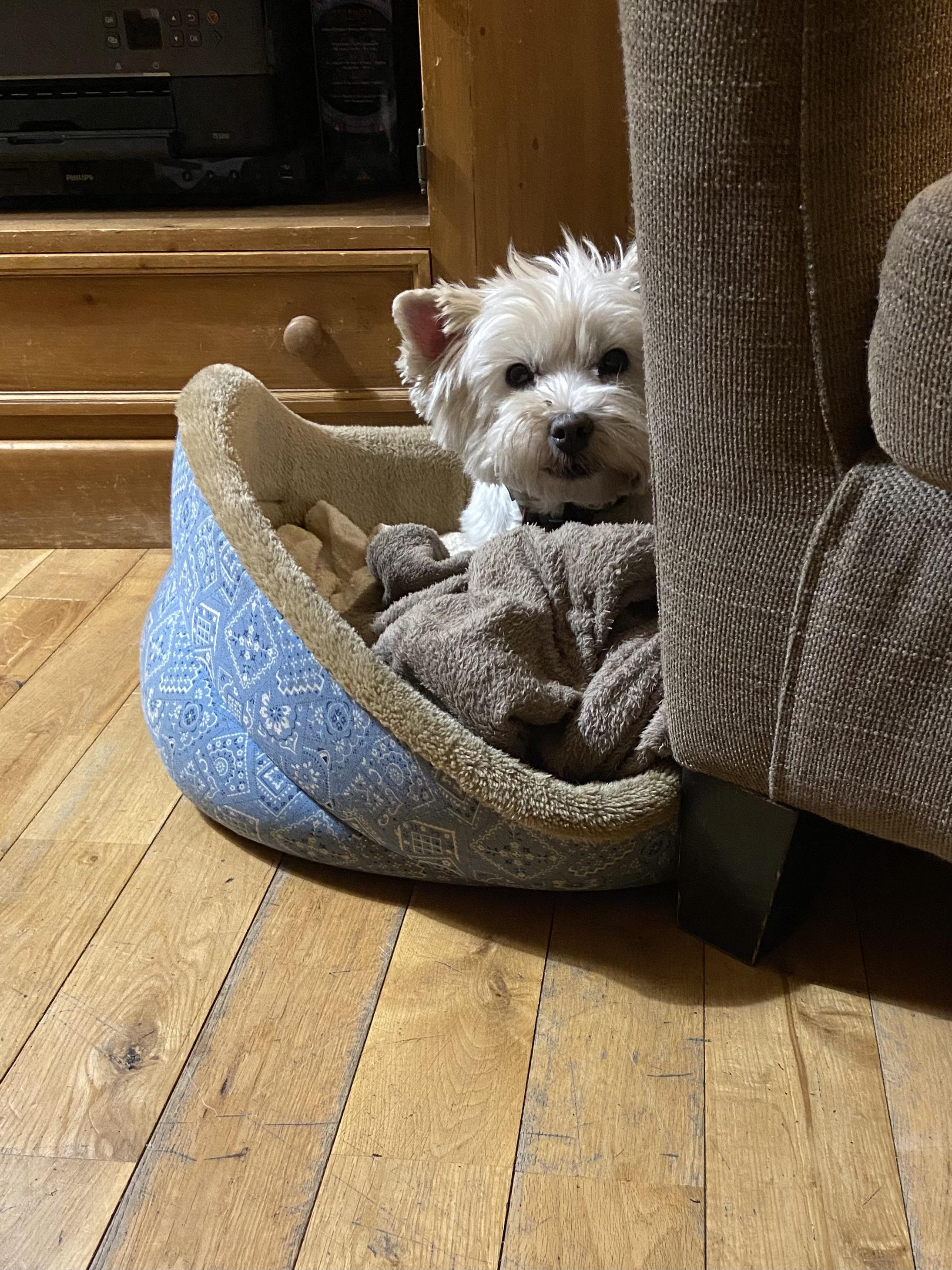 Peak a boo! I am always watching you!