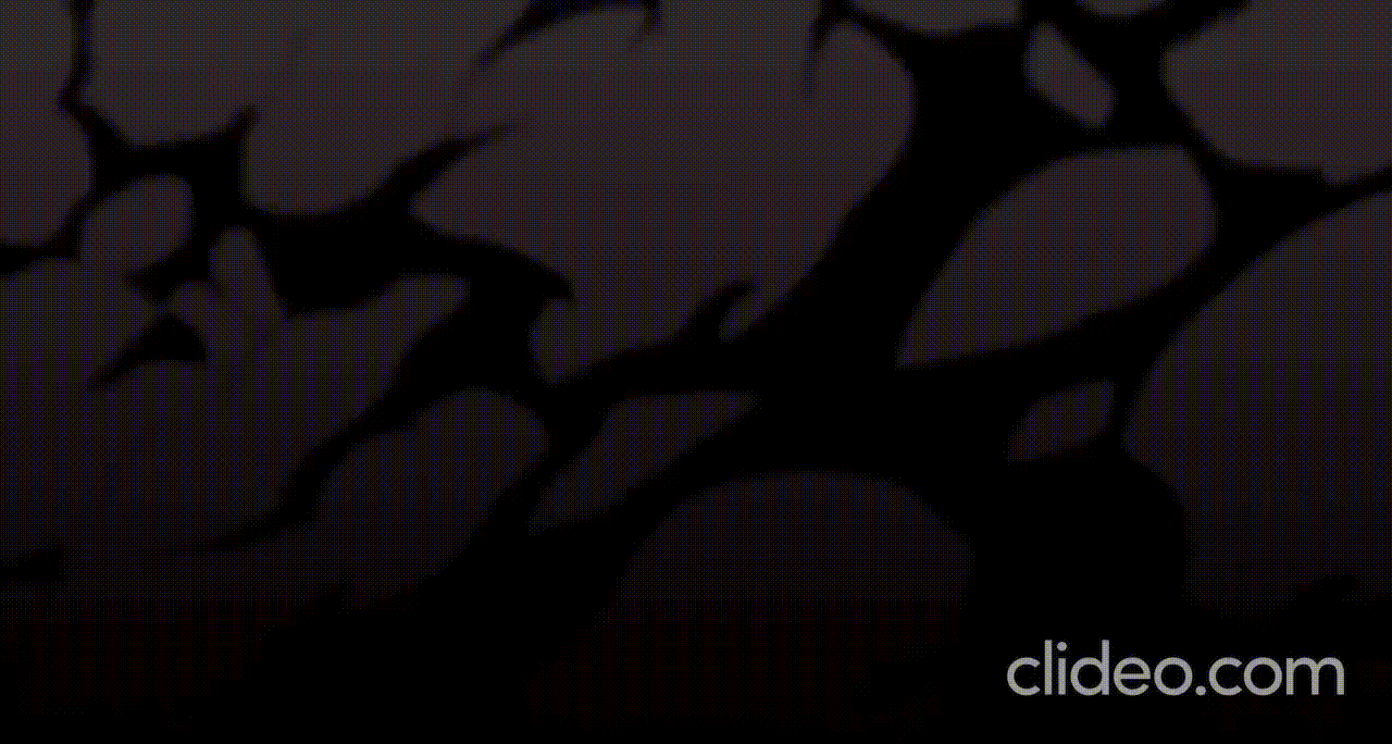 So, I’ve made a GIF for y’all including Cannonbolt.