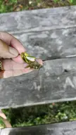 Bait