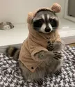 Don't listen to the original caption, he's clearly cosplaying!