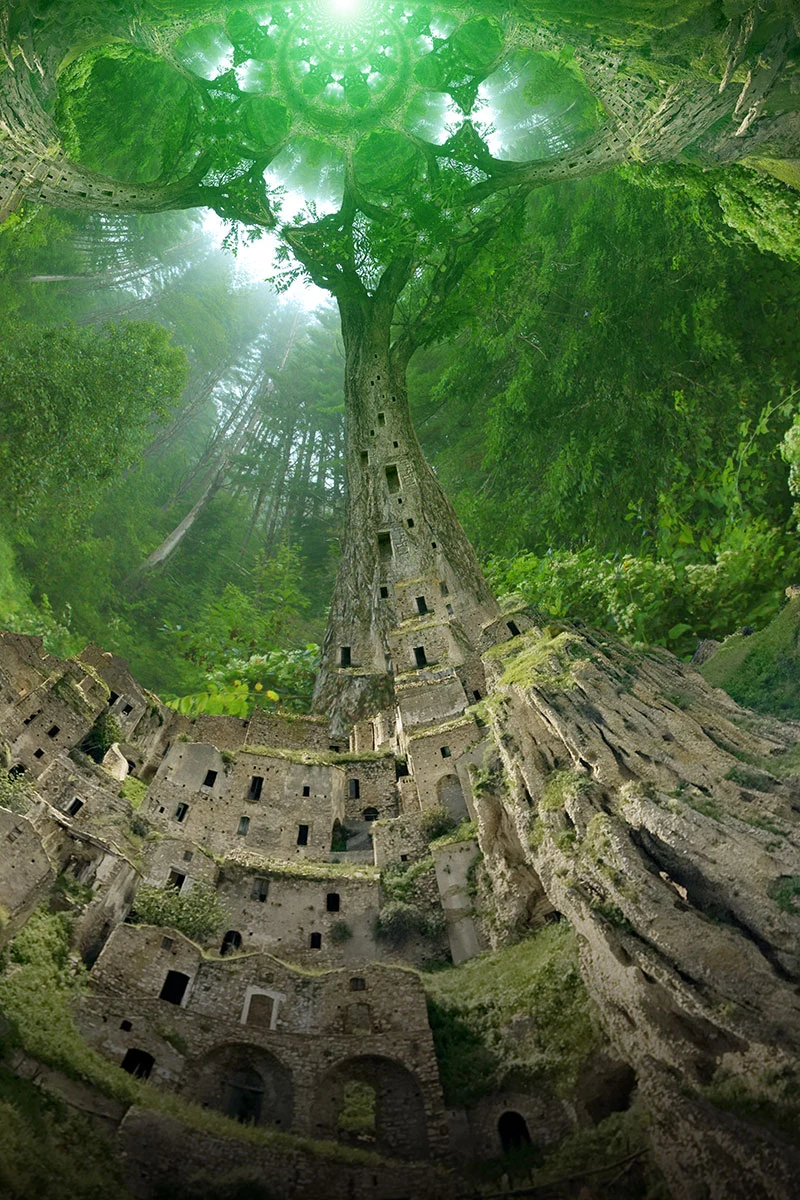 Tree Platform Civilization Lost Civilization Tree by LARRY CARLSON | Scrolller
