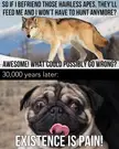 Dang hairless apes!