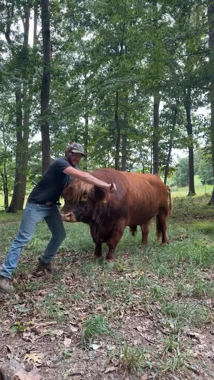 maybemaybemaybe