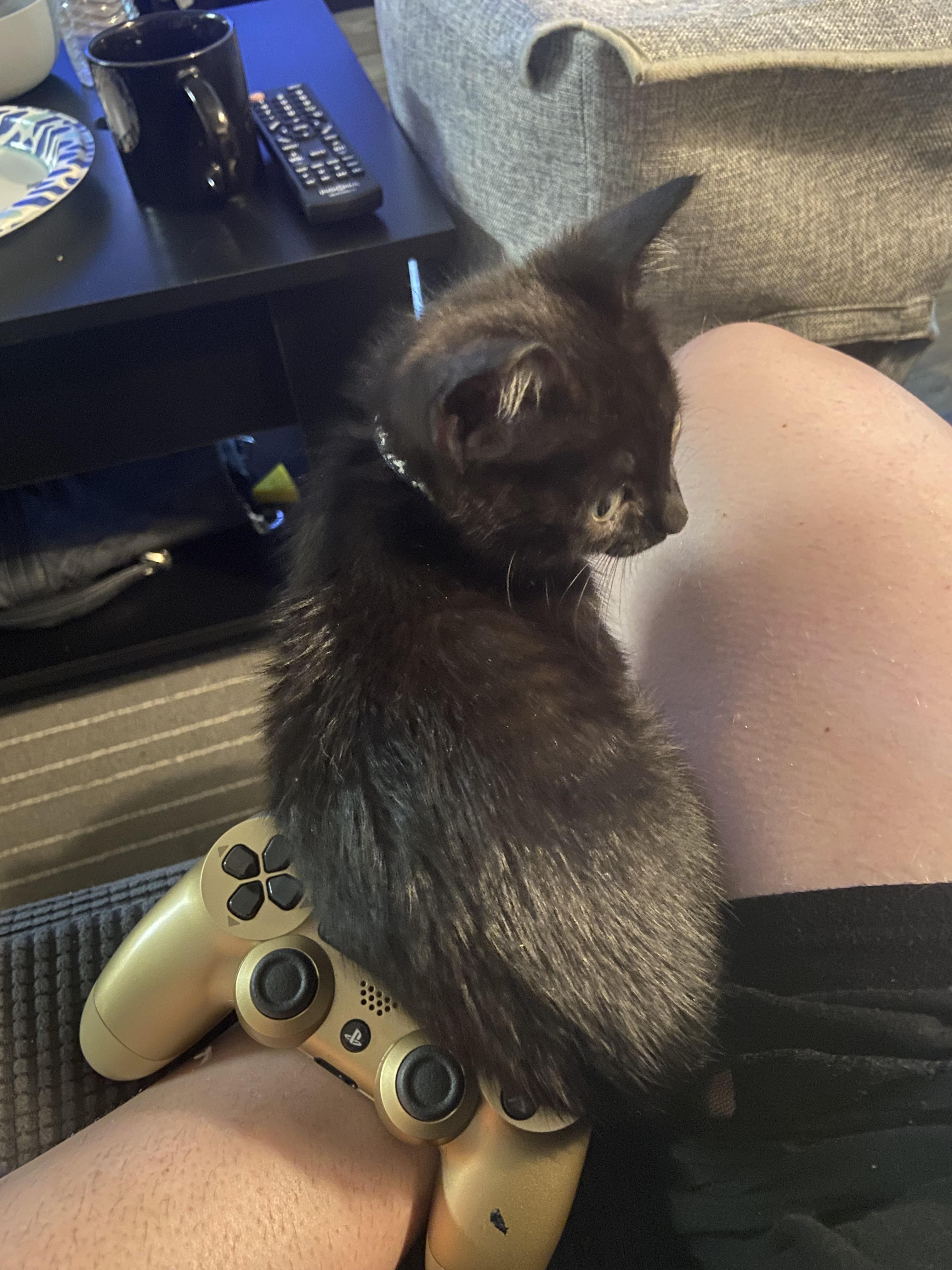 I guess I’m not allowed to play video game anymore…