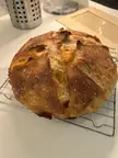 Chunks o' Cheddar Sourdough Loaf