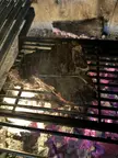 Posted the wrong video earlier. Bistecca ala Fiorntina