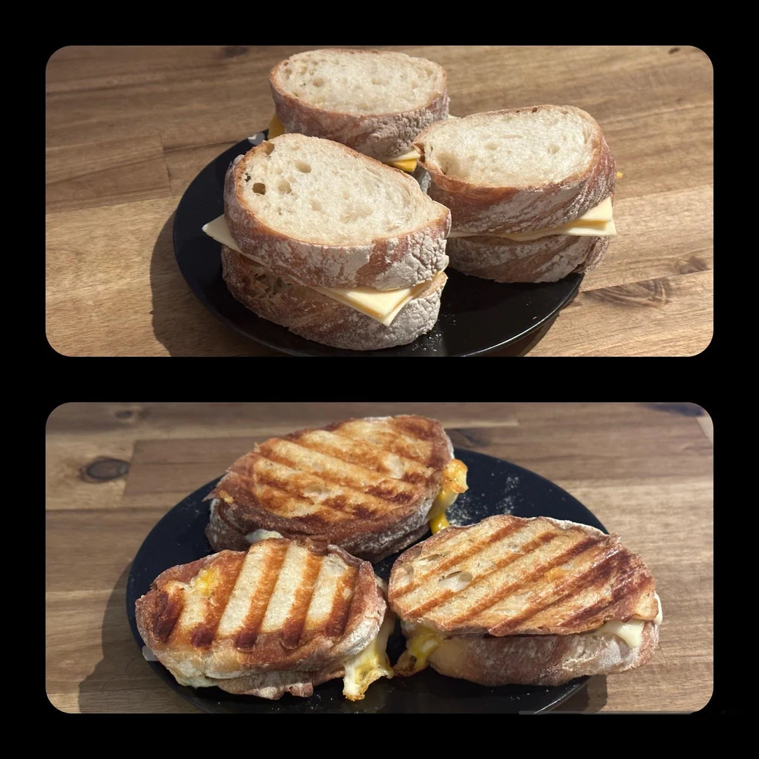 Rustic Panini Rustic bread on panini press with Gouda and Cheddar | Scrolller