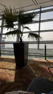 Goodbye home, until next year