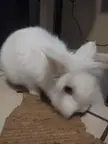 cute