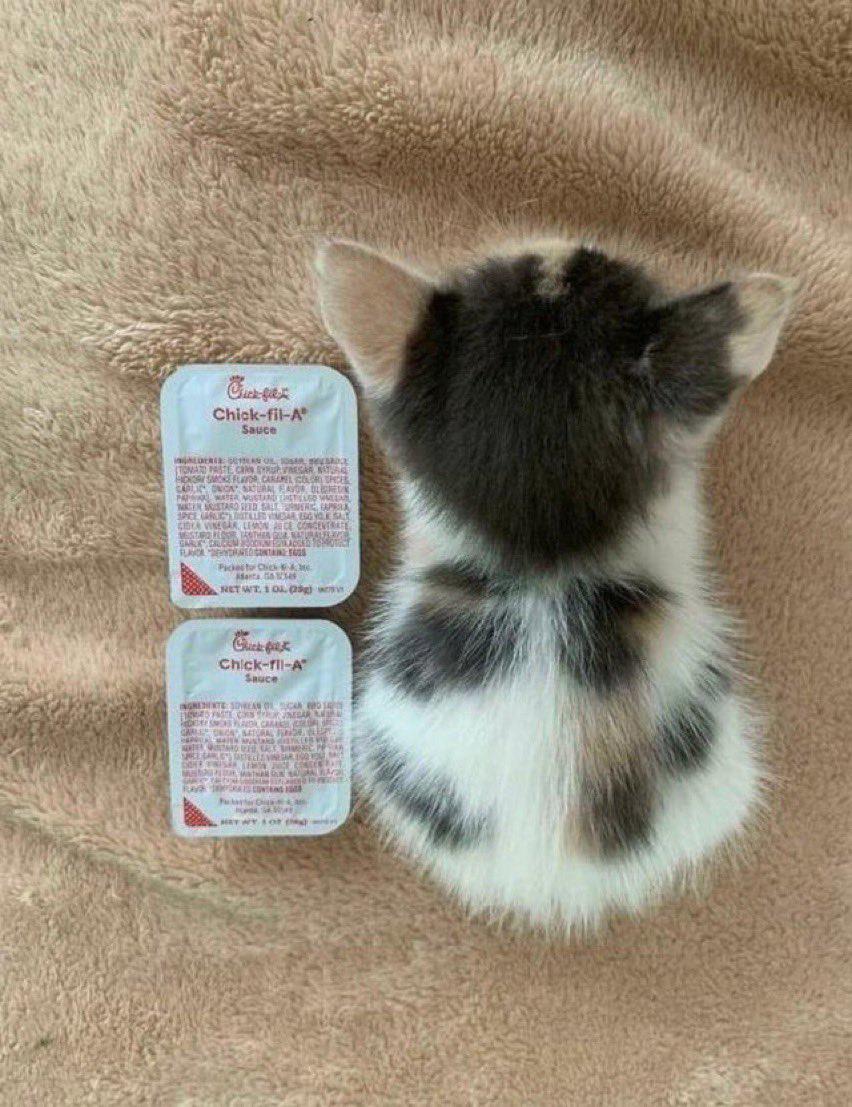 tiny boy (US size edition)