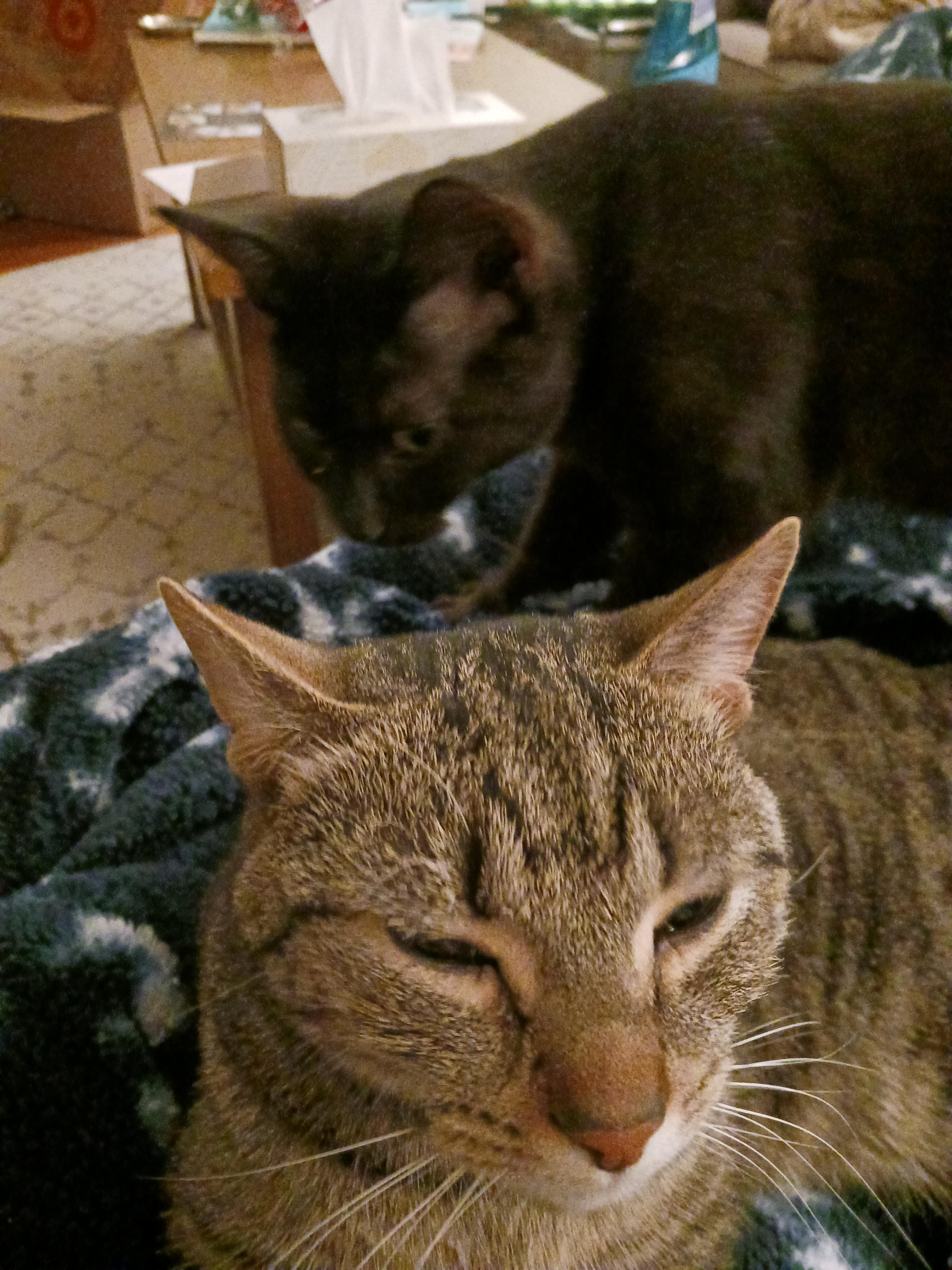 Henry Cavill Jason Momoa meme moment