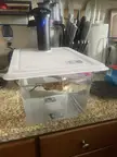 I’m trying chicken breasts today!
