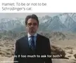 Quantum Poetry
