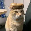 A bagel on top of an orange boi