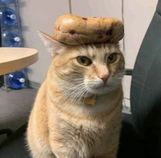A bagel on top of an orange boi