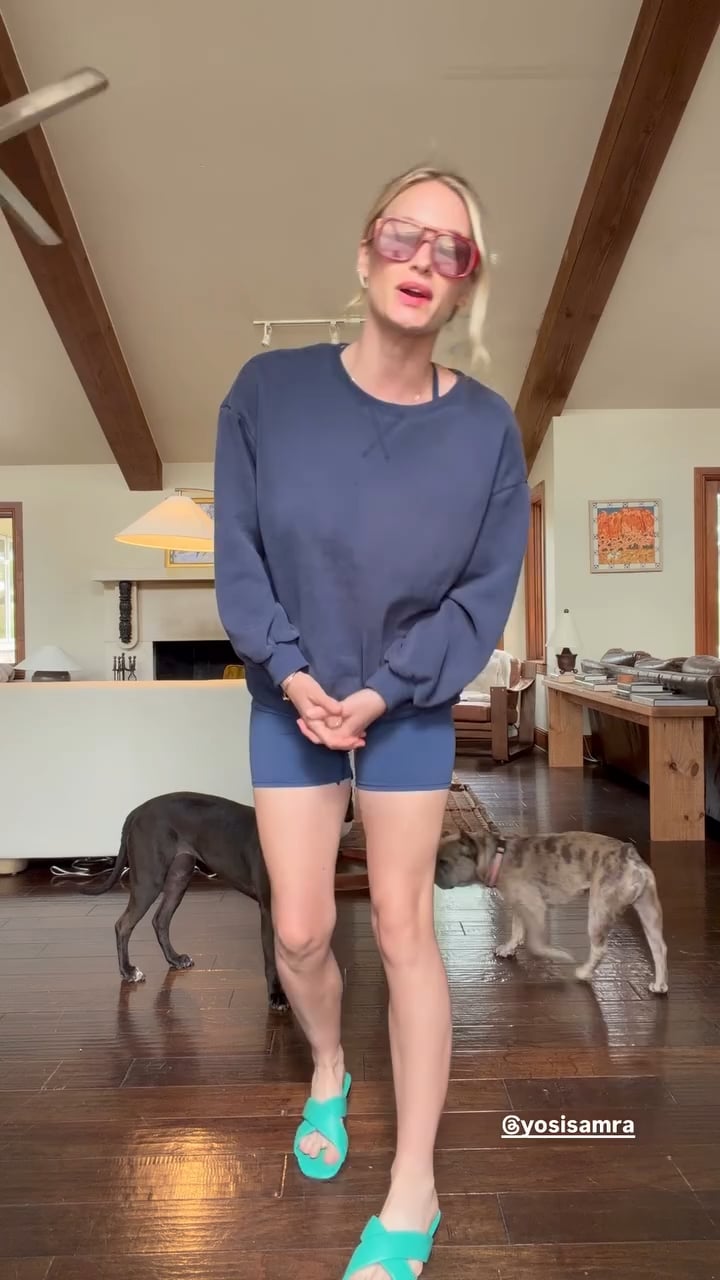 Dogs