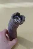 PutYourDickInThat