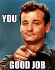 Wholesome meme of a man in a dark collared shirt pointing forward with text that says 'YOU GOOD JOB'