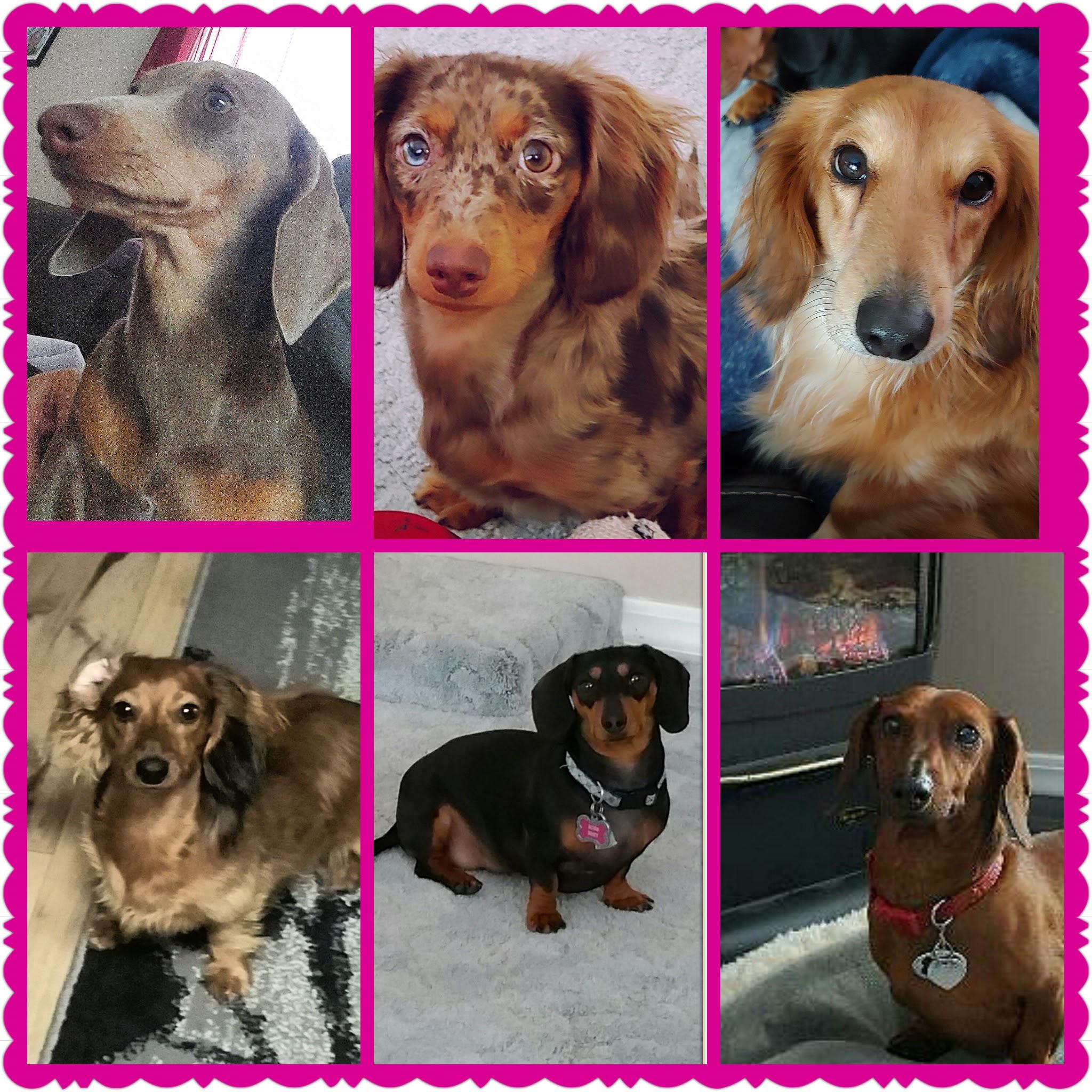 6 things that keep me sane...