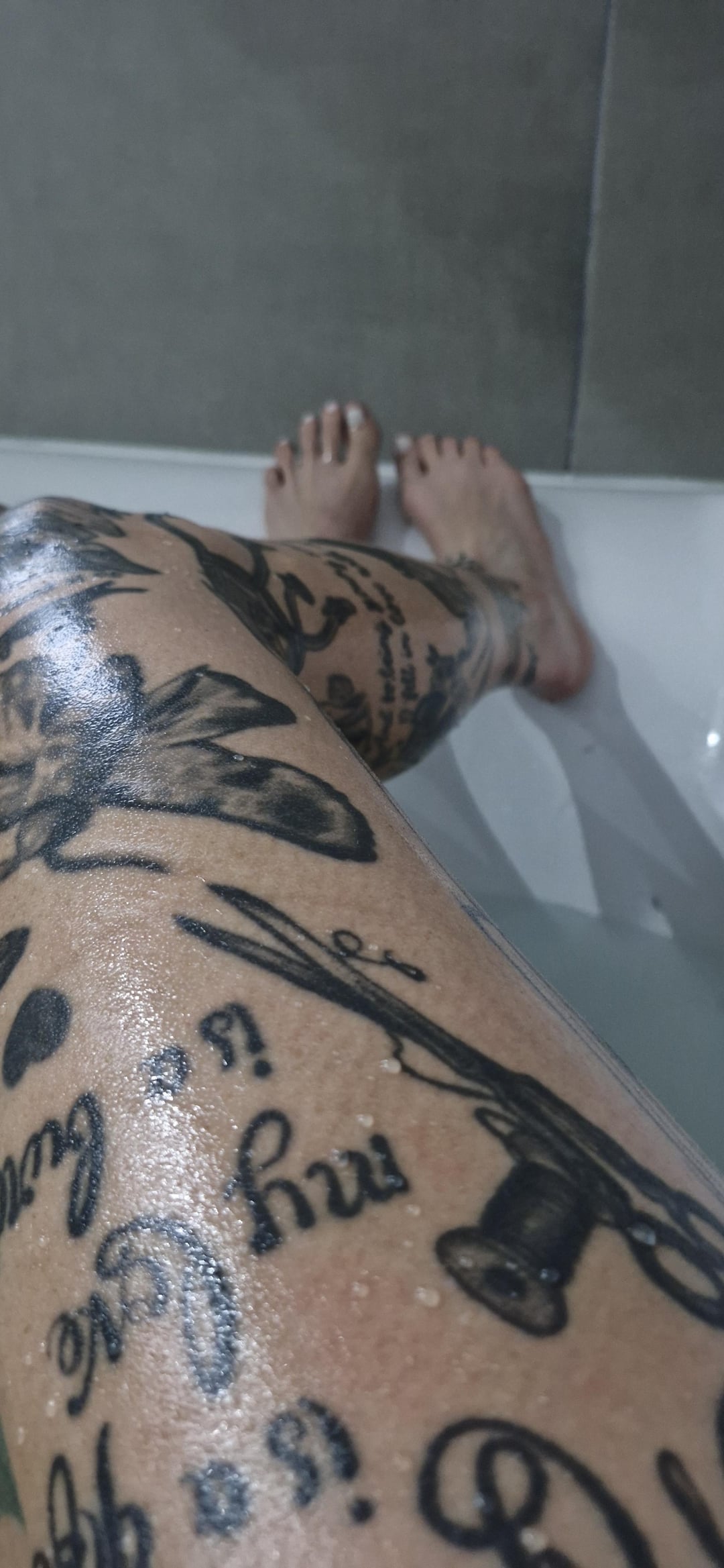 legs