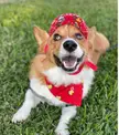 Being happy never goes out of style! Look at this happy face!!