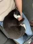Who needs a heat mat anyway 🥺