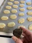 Trilobite Cookies!