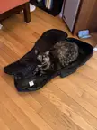 This ukulele seems to be defective. Should I send it back?