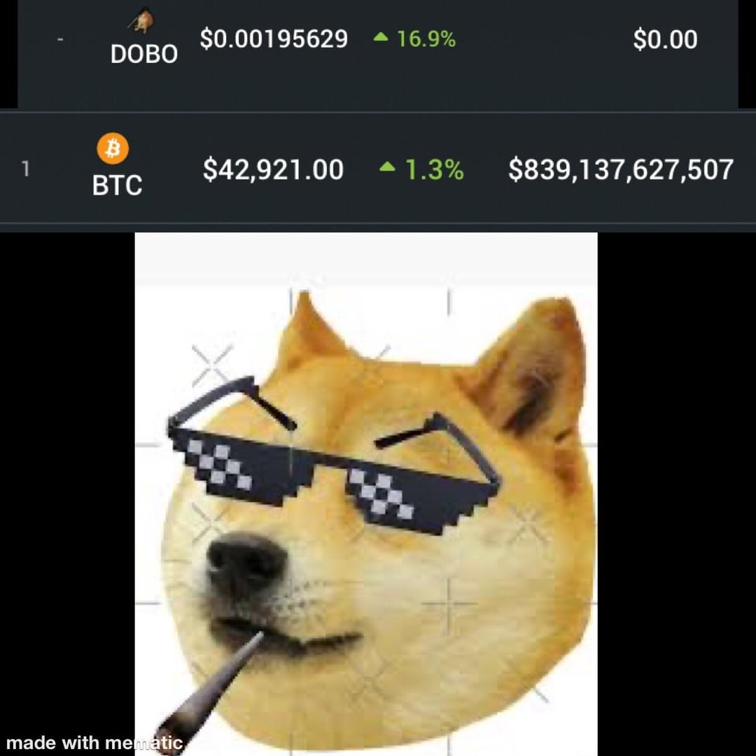 DogeBONK