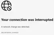 Your connection was interrupted