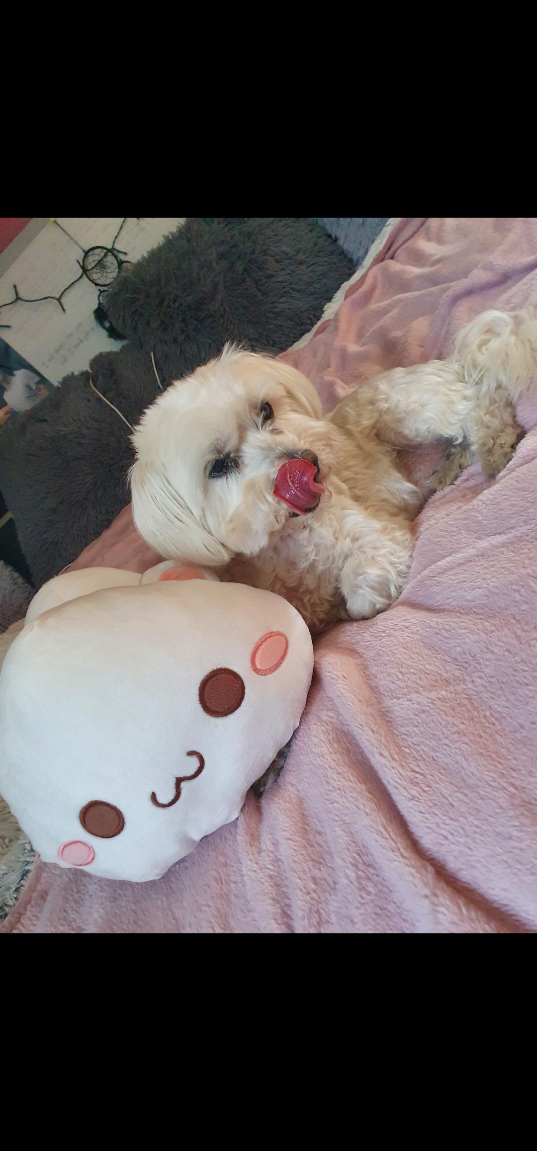 My 13 year old cutie