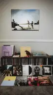 vinyl