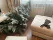 crime scene