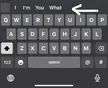 Why does my keyboard look like this? Usually it’s just the three word suggestions.