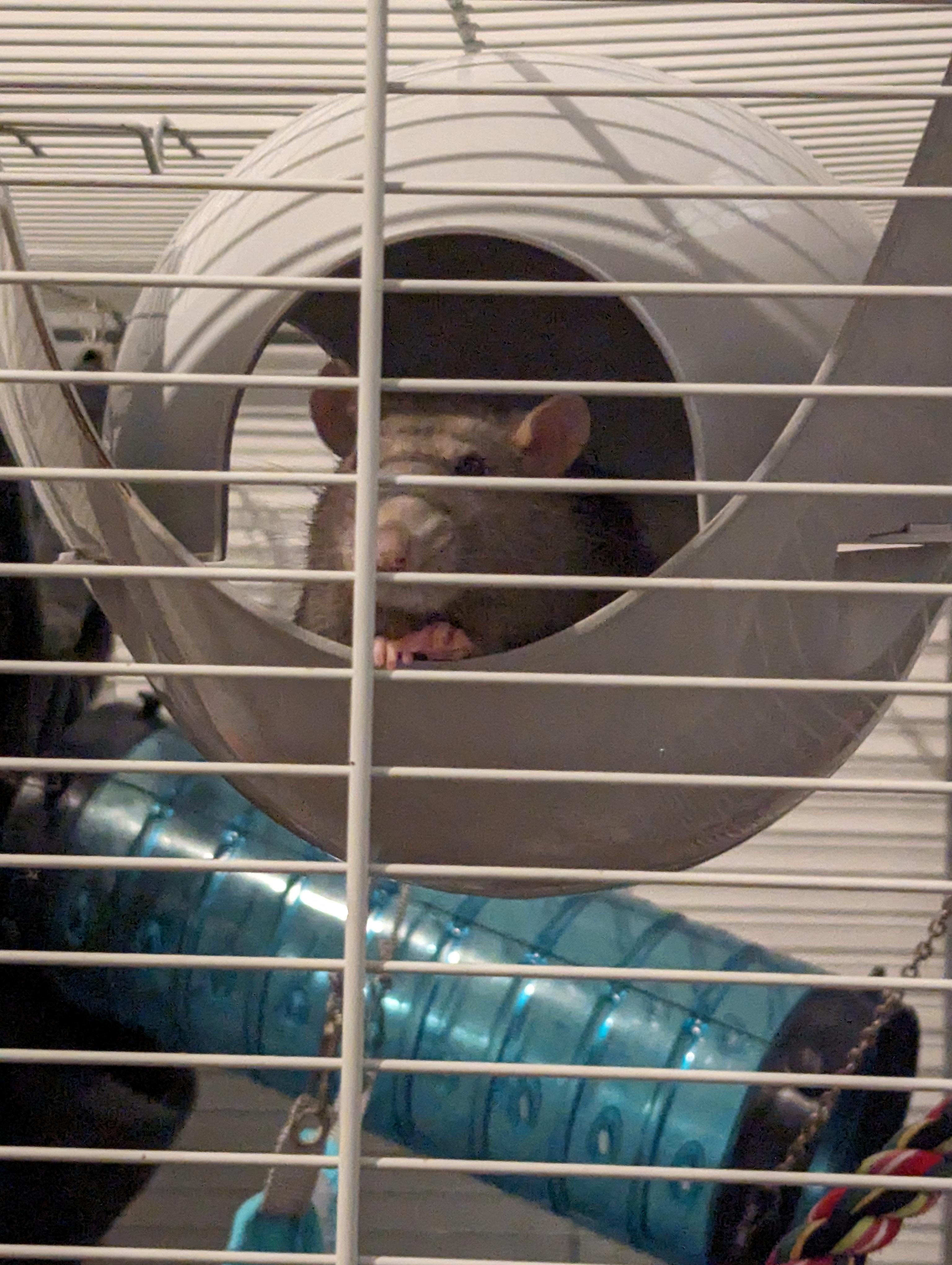 What is she plotting ?