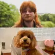 Dogs who look like celebrities