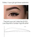 high lift low Reynolds number airfoil