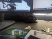 Morgana, a void cat, peeking from behind a computer monitor on a cluttered gaming pc desk setup