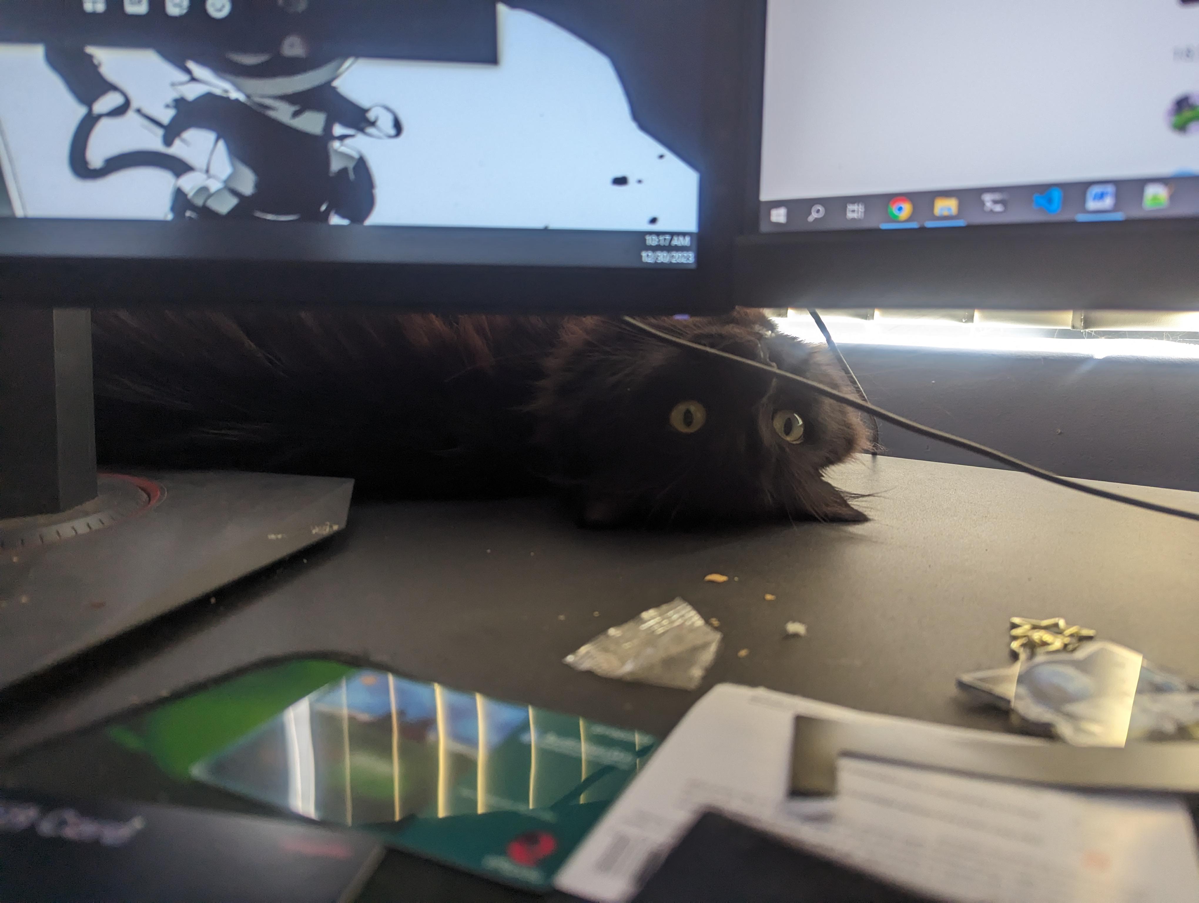 Morgana being silly