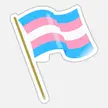 Trans Woman