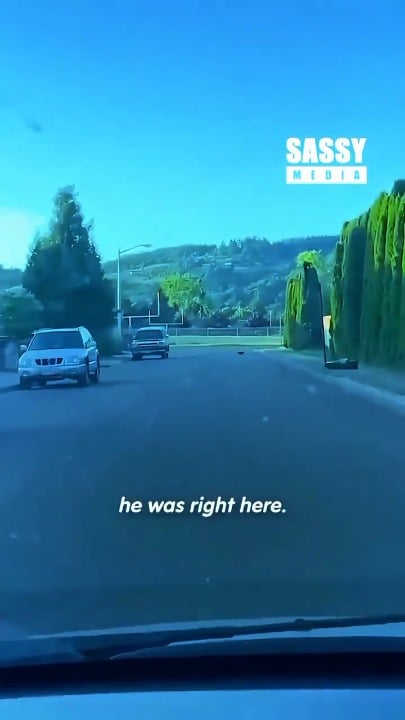 To escape his human "oppressors"