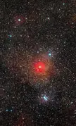 The yellow hypergiant star HR 5171 A ( constellation Centaurus) is truly enormous,  1300 times the diameter of the Sun and much larger than expected.  This makes it the largest yellow star known.