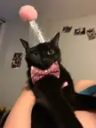 Guess somebody have birthday today!