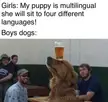 Good boy!