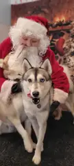 Happy Pawlidays!