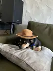 There’s a new sheriff in town