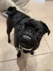 Sometimes my lip gets stuck on my teef!